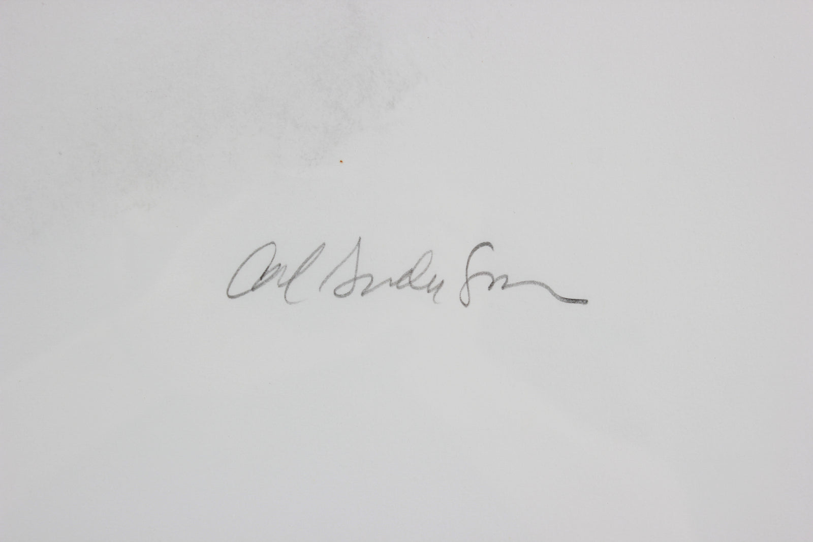 Calla Lilly in a Vase Monotype <br><br>#B3050