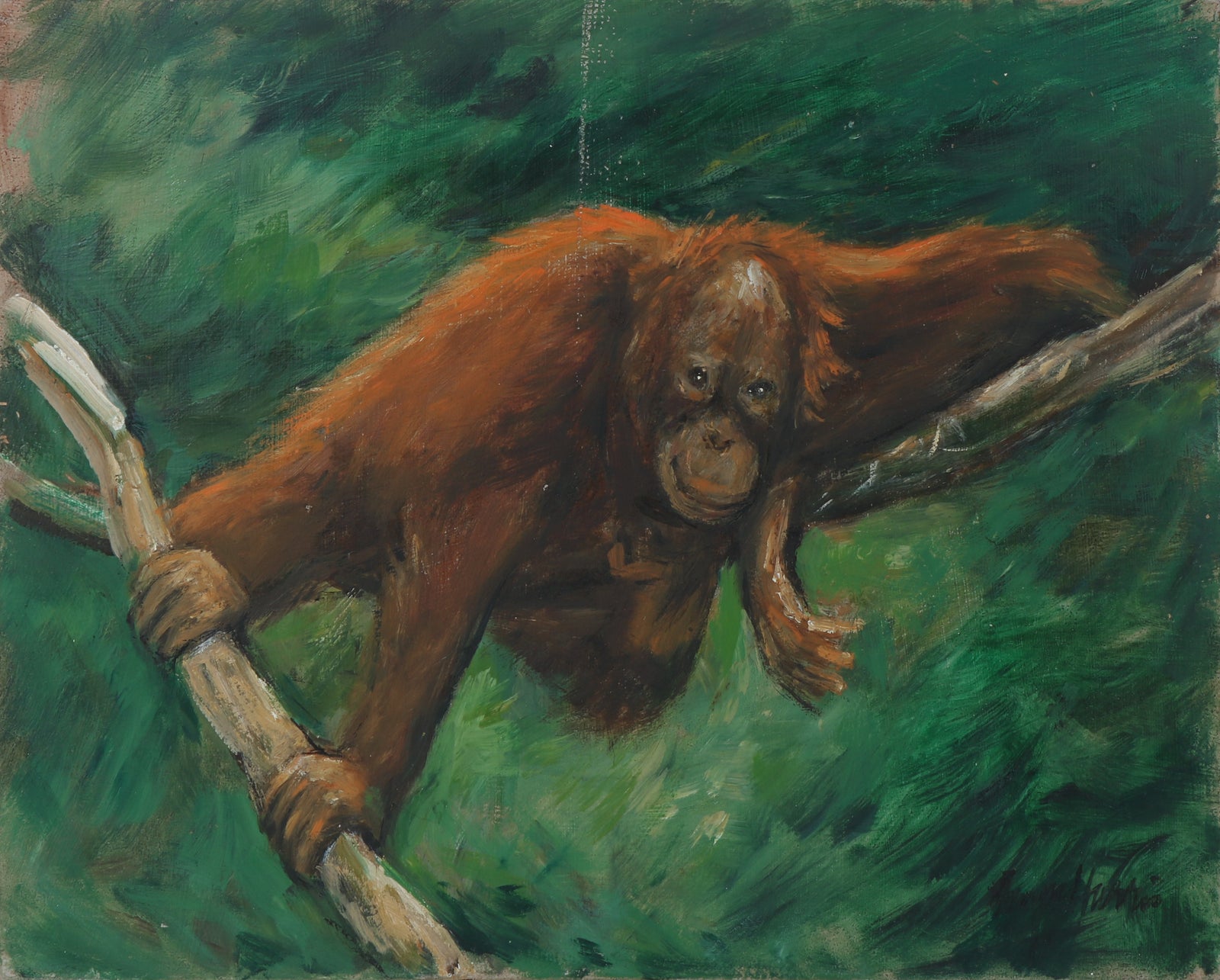 Playful Orangutan in Tree <br>Mid Century Oil <br><br>#B3535