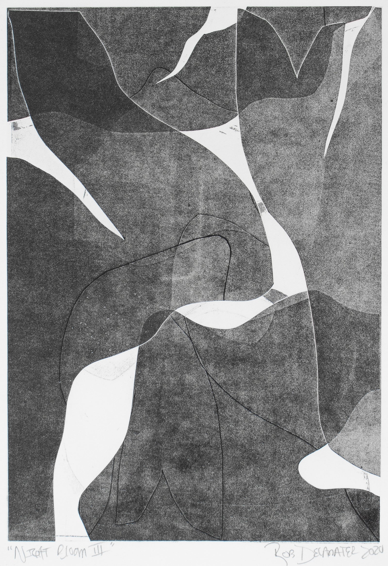 <i>Night Bloom III</i> <br>2020 Monotype <br><br>#B3770