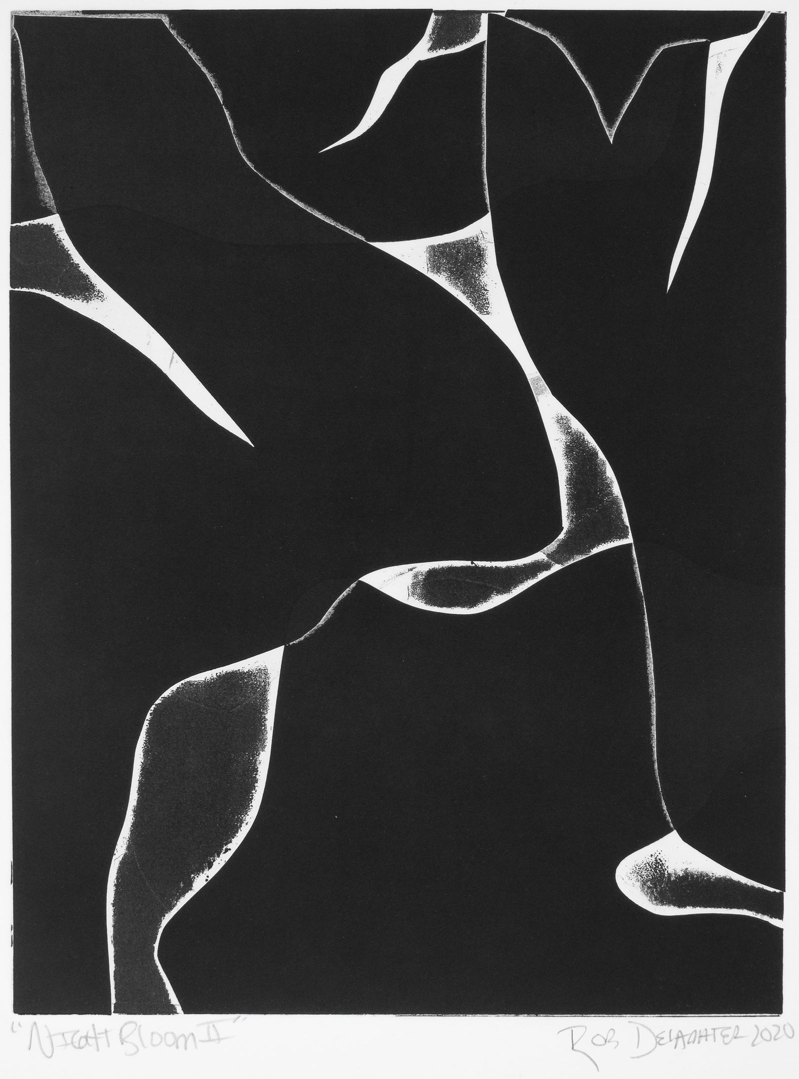 <i>Night Bloom II</i> <br>2020 Monotype <br><br>#B3771