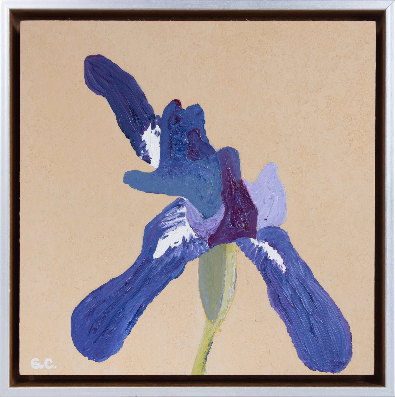 <i>Purple Iris</i> <br>2021 Oil <br><br>#B4188