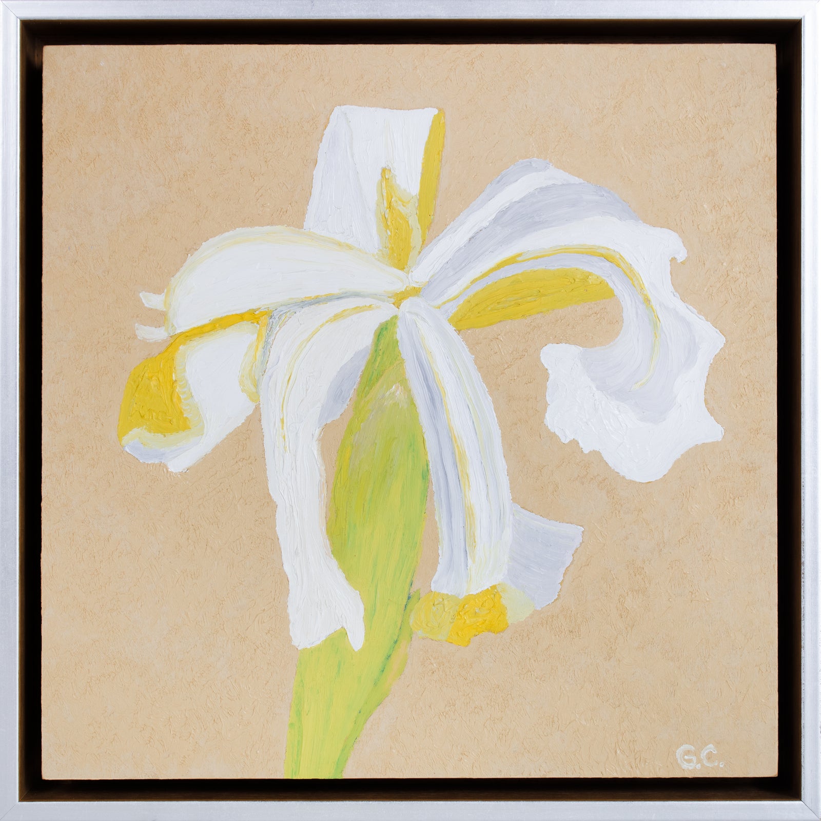 <i>Irs de Marais</i> <br>2021 Oil <br><br>#B4189