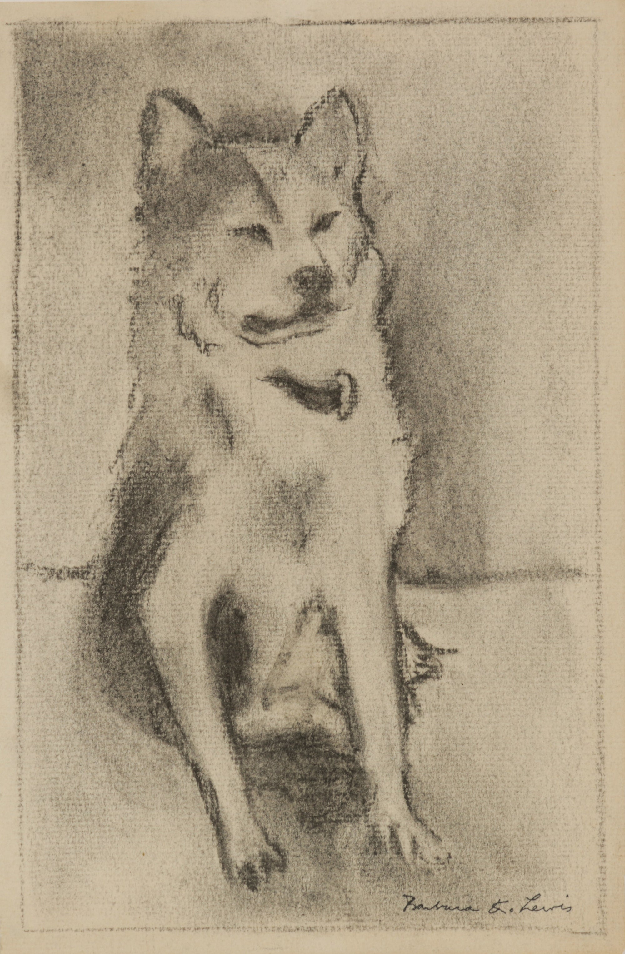 Charcoal Drawing of a Dog <br>1940s Charcoal <br><br>#B5531