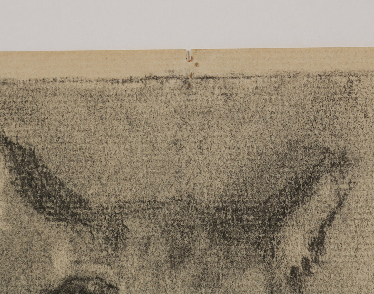 Charcoal Drawing of a Cat <br>1940s Charcoal <br><br>#B5533