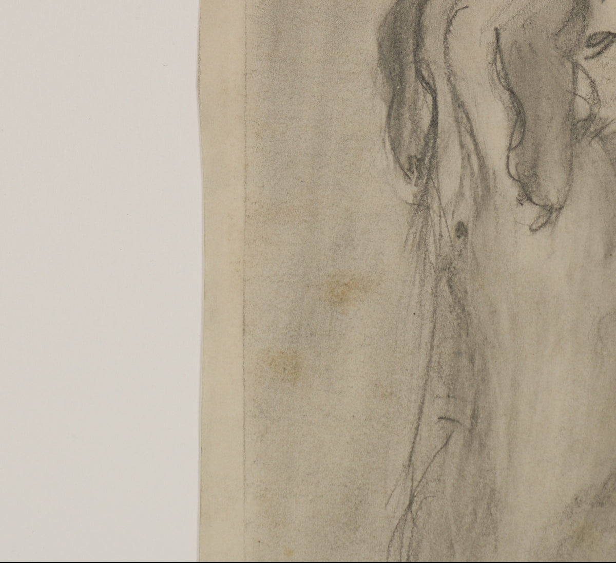 Modernist Drawing of a Dog <br>1940s Graphite <br><br>#B5537