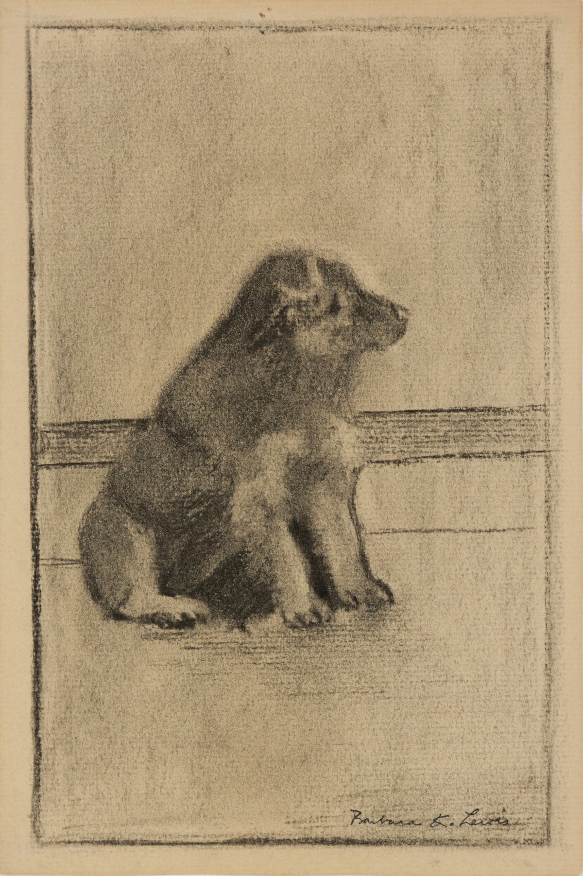 Charcoal Drawing of a Puppy &lt;br&gt;1940s Charcoal &lt;br&gt;&lt;br&gt;#B5542