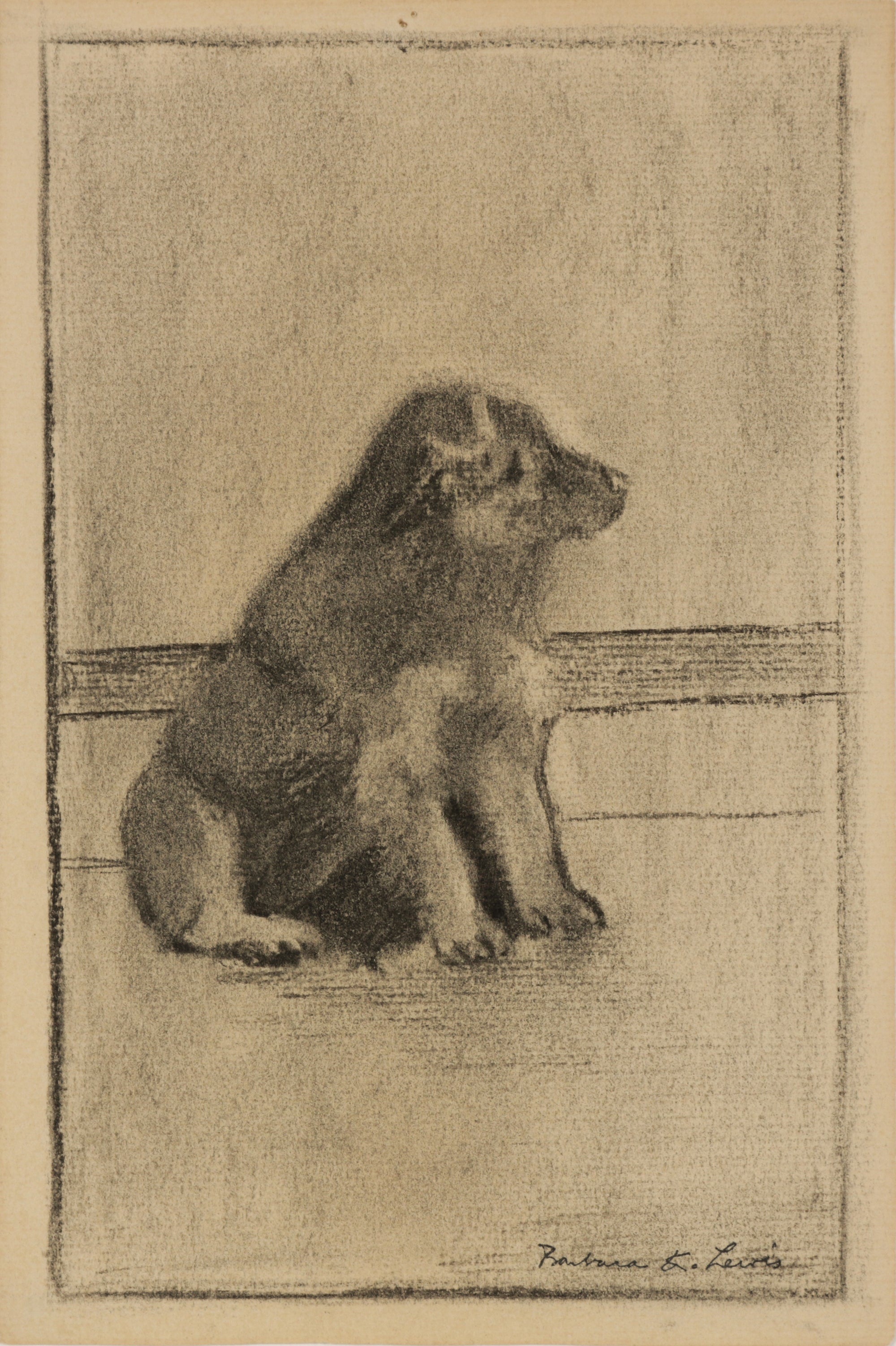 Charcoal Drawing of a Puppy <br>1940s Charcoal <br><br>#B5542