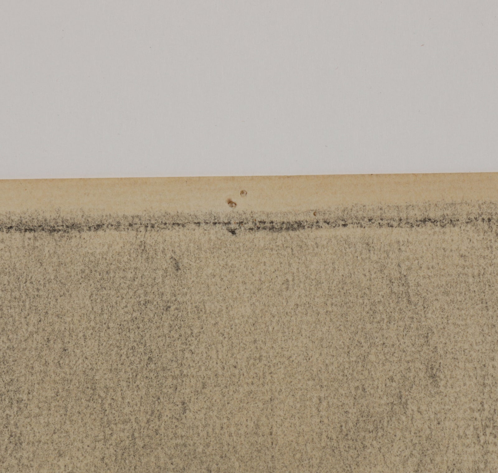 Charcoal Drawing of a Puppy <br>1940s Charcoal <br><br>#B5542