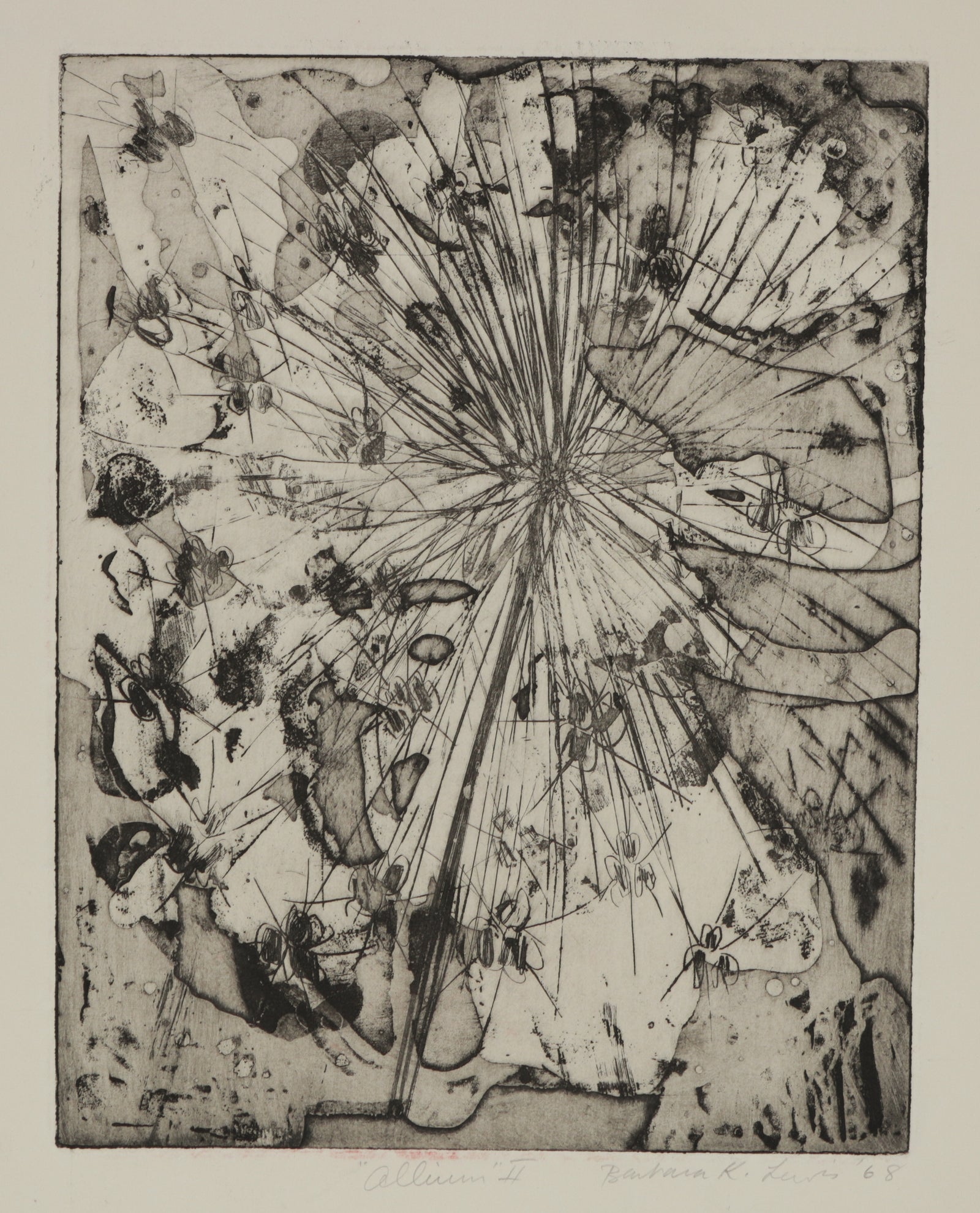 <i>Allium II</i> <br>1968 Stone Lithograph <br><br>#B5595