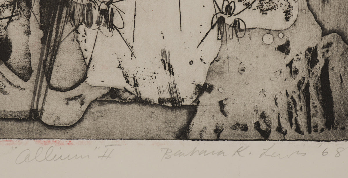 <i>Allium II</i> <br>1968 Stone Lithograph <br><br>#B5595
