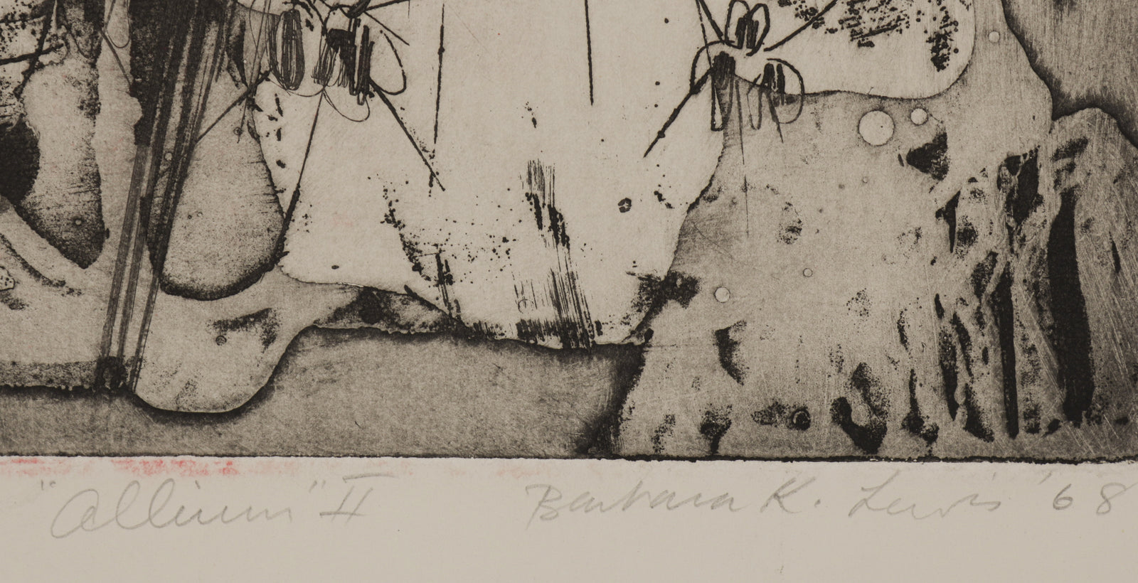 <i>Allium II</i> <br>1968 Stone Lithograph <br><br>#B5595