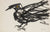 Black Bird in Abstraction <br>1940-60s Watercolor <br><br>#B5786