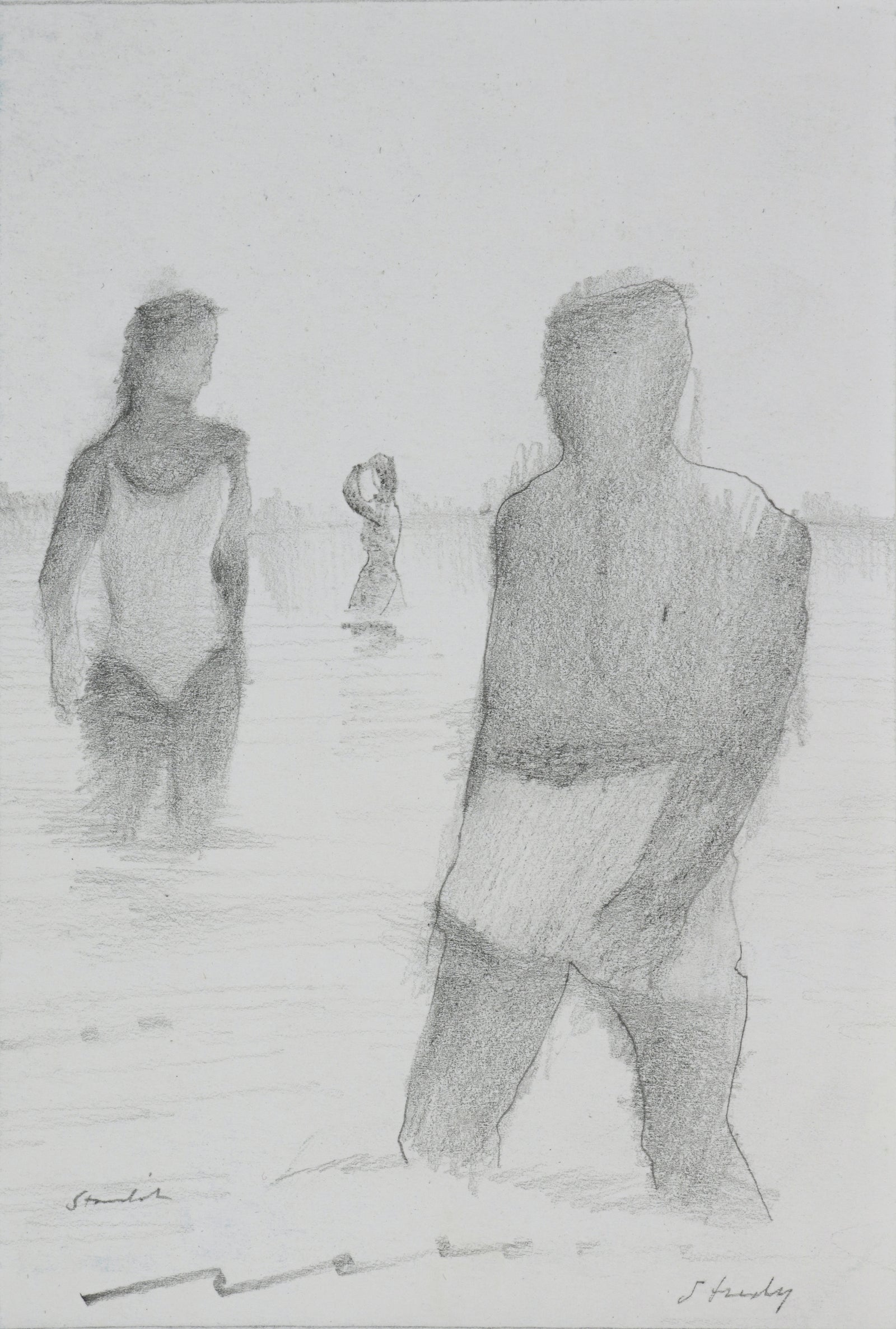 <i>Study</i> <br>20th Century Graphite <br><br>#B6513