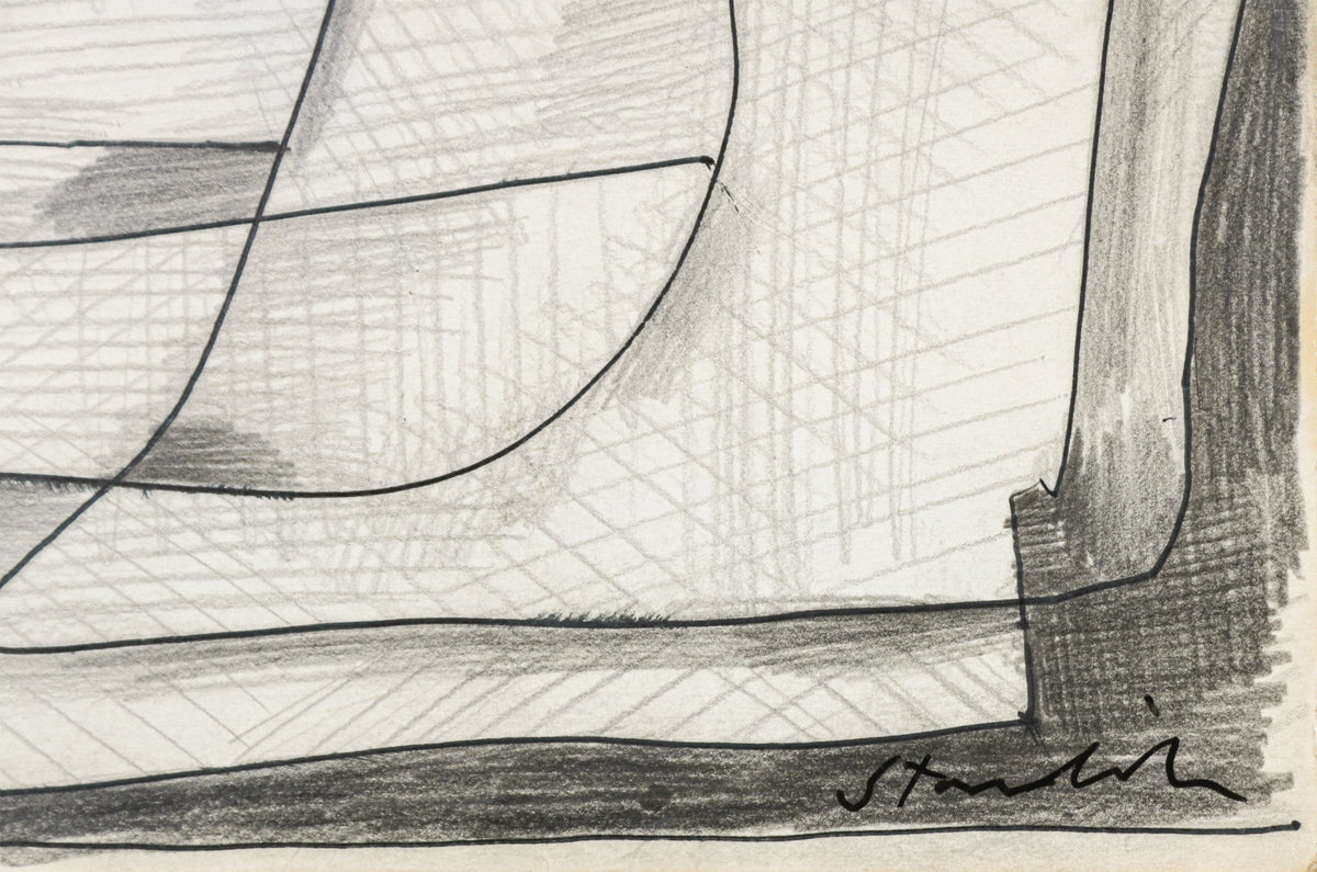 Organic Forms <br>Late 20th Century Graphite <br><br>#B6670