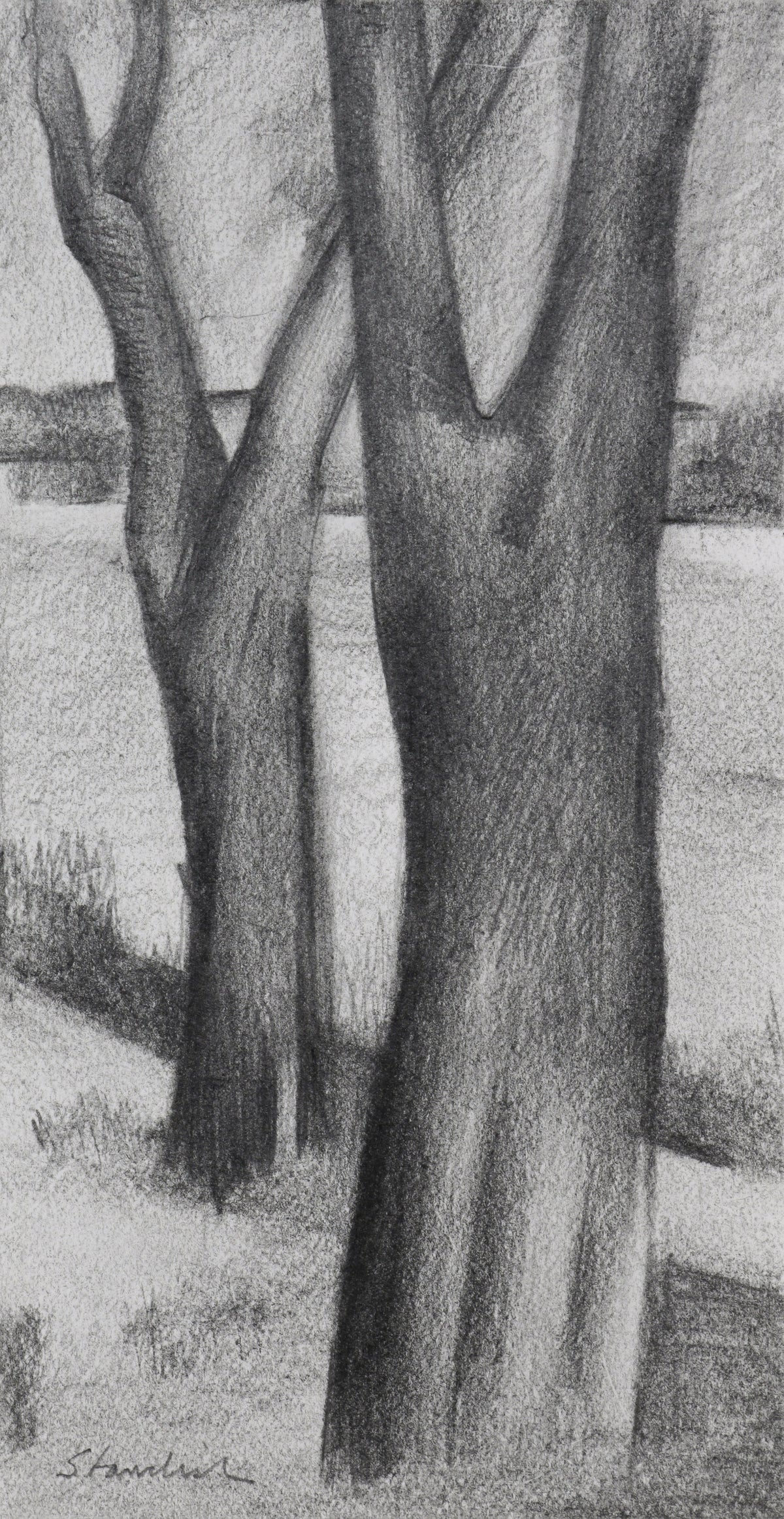 Two Trees &lt;br&gt;Late 20th Century Graphite &lt;br&gt;&lt;br&gt;#B6673