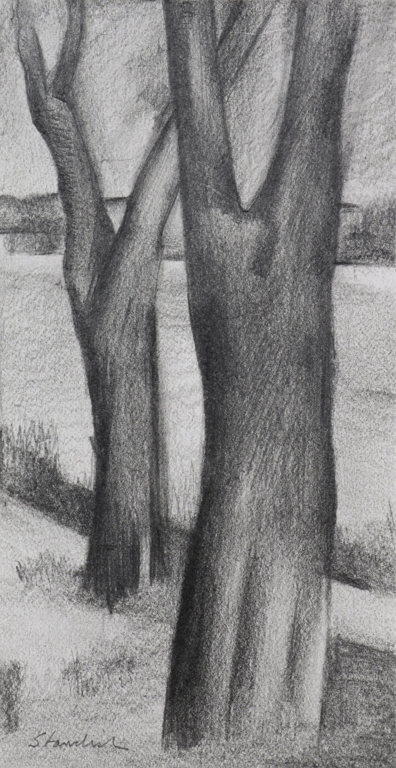 Two Trees <br>Late 20th Century Graphite <br><br>#B6673