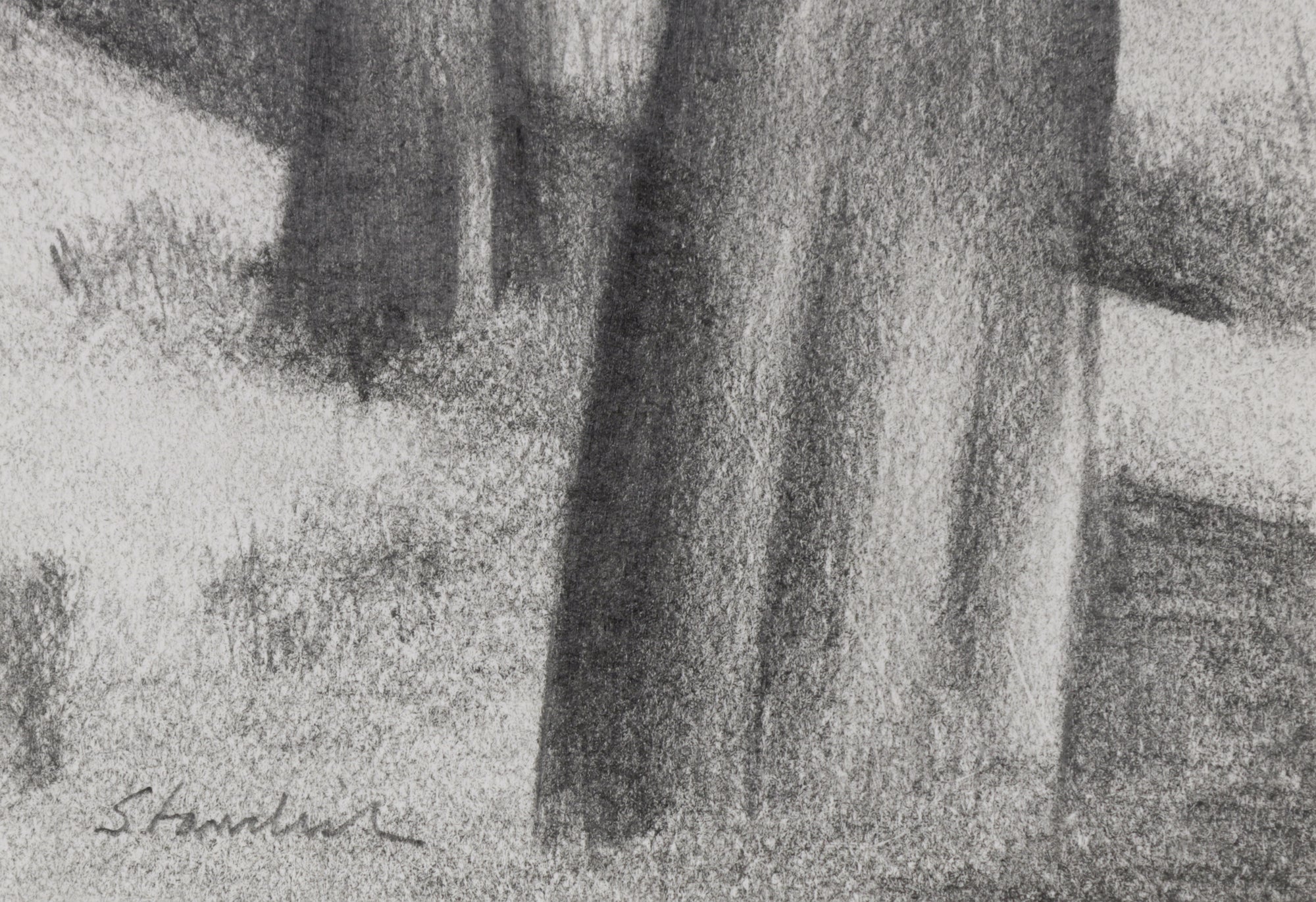Two Trees <br>Late 20th Century Graphite <br><br>#B6673