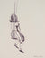 Girl on a Swing <br>Early 20th Century Ink <br><br>#C0047