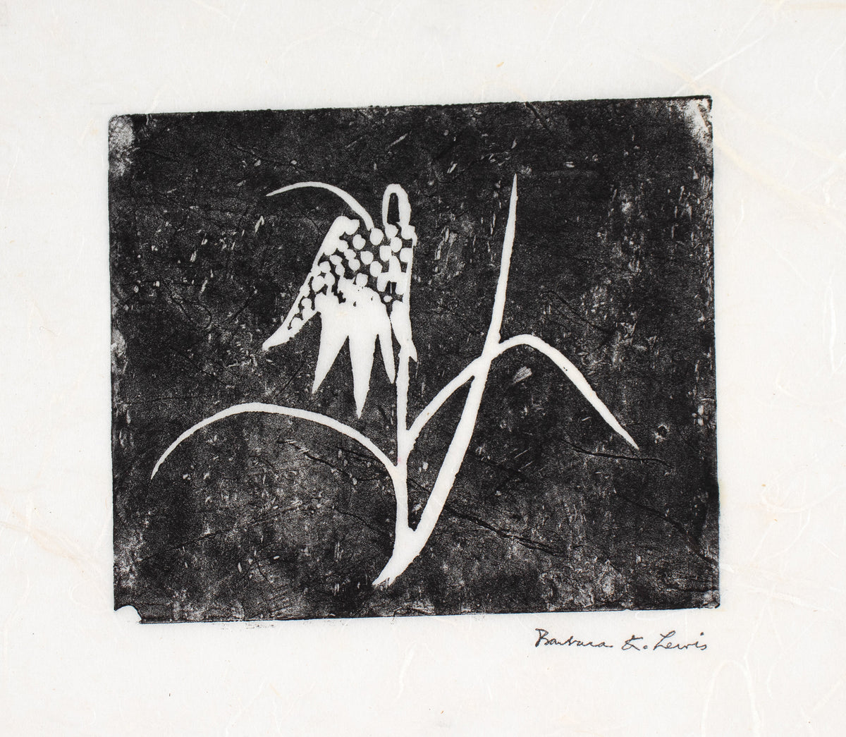 Checkered Lily &lt;br&gt;20th Century Linoleum Block Print &lt;br&gt;&lt;br&gt;#C0050
