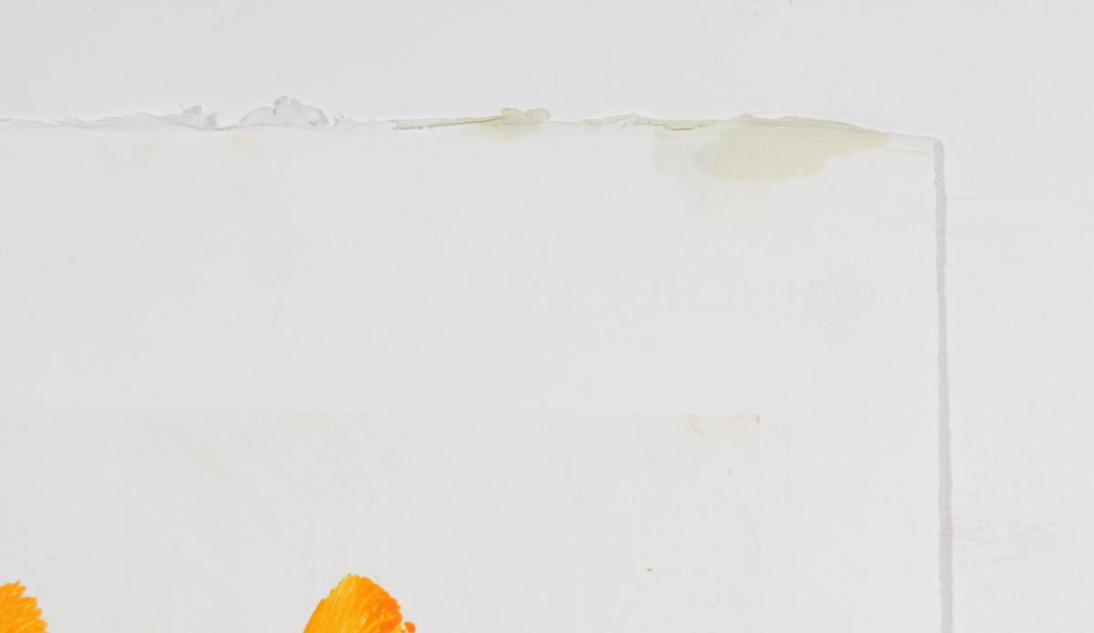 Vibrant Brushstroke Abstract <br>20th Century Monotype <br><br>#C0237