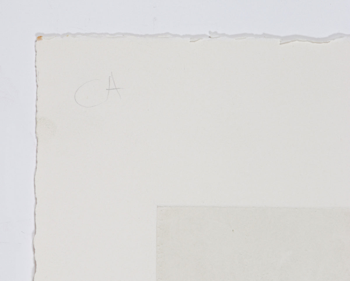 Loose & Geometric Abstract <br>20th Century Monotype<br><br>#C0250