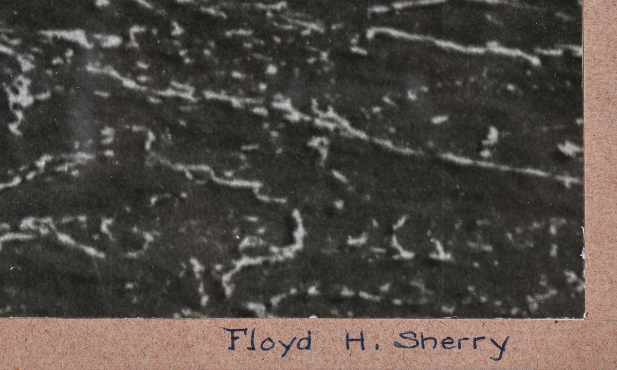 <i>The Surfer</i> <br>1966 Photograph <br><br>#C0456