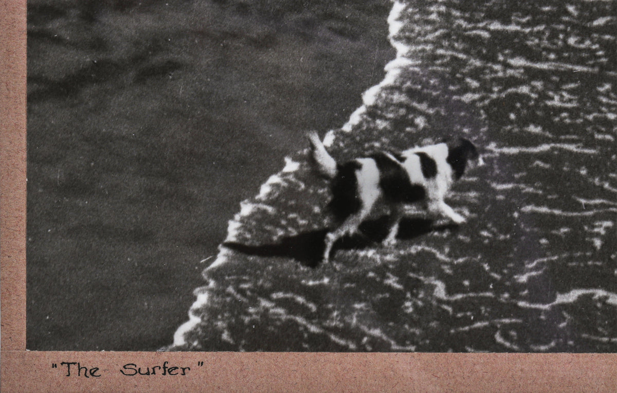 <i>The Surfer</i> <br>1966 Photograph <br><br>#C0456