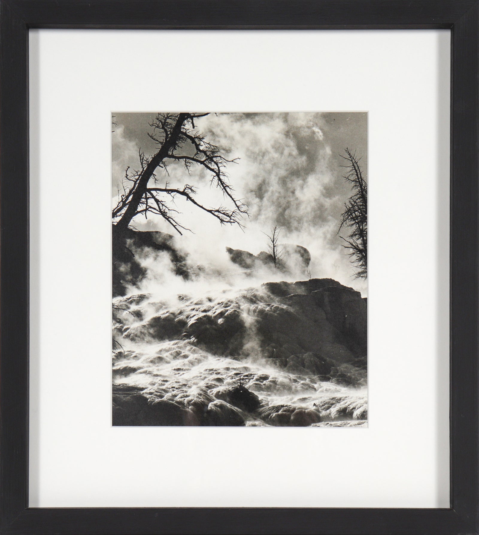 Dramatic Landscape with Tree <br>Mid Century Photograph <br><br>#C0475