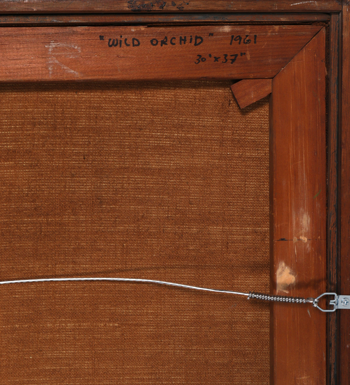 <i>Wild Orchid</i> <br>1961 Oil & Acrylic <br><br>#C0653