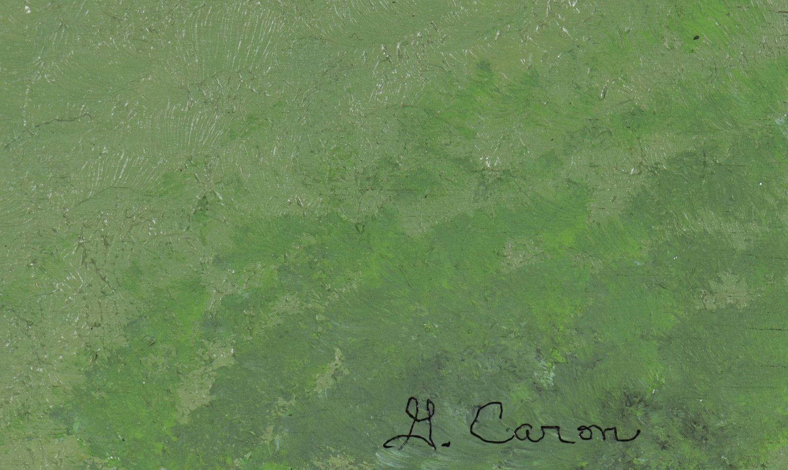 <i>Queen Emma Giant Spider Lily</i> <br>2022 Oil <br><br>#C0757