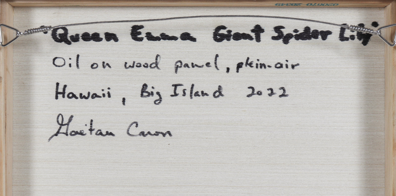 <i>Queen Emma Giant Spider Lily</i> <br>2022 Oil <br><br>#C0757