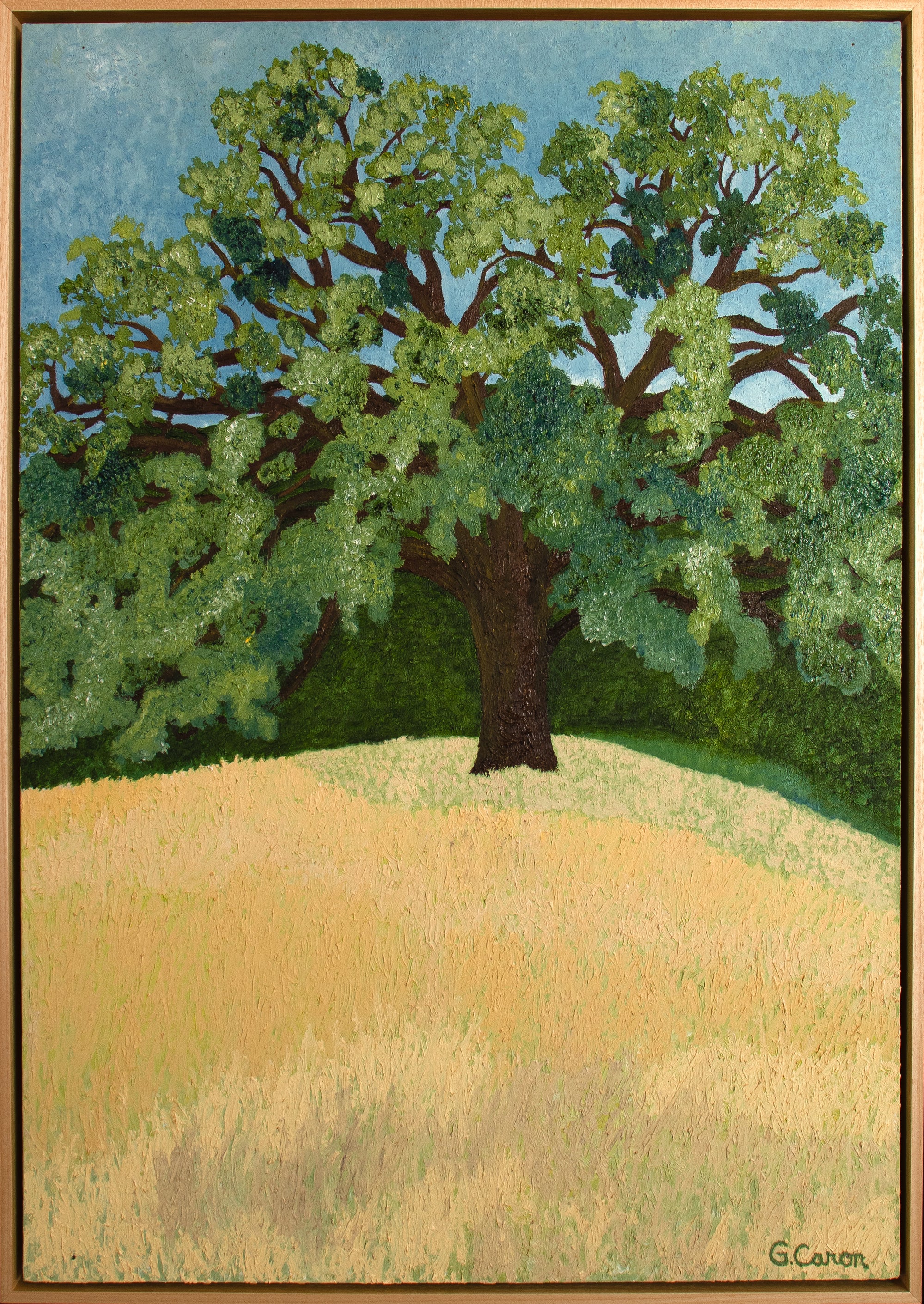 <i>Oak and Golden Meadow</i> <br>2022 Oil <br><br>#C1667
