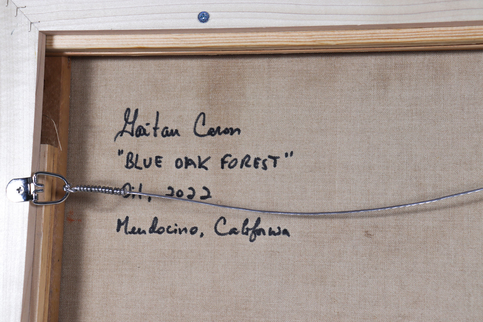 <i>Blue Oak Forest</i> <br>2022 Oil <br><br>#C1943