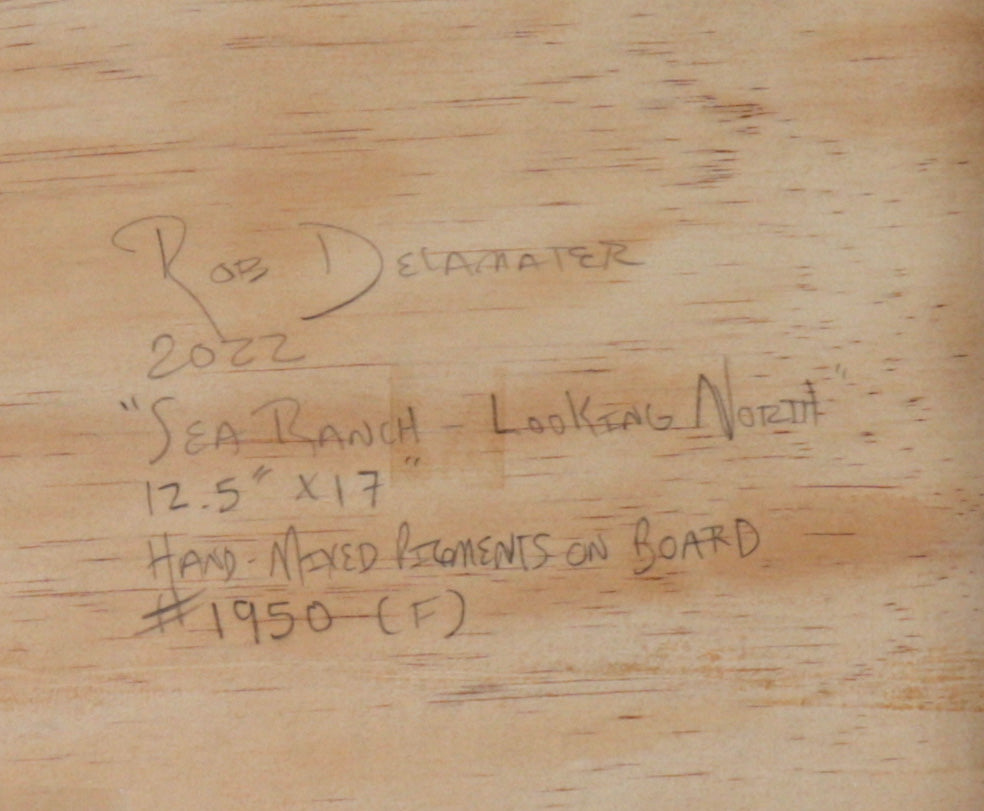 <i>Sea Ranch - Looking North</i><br>2022 Hand-Mixed Pigments<br><br>#C2080