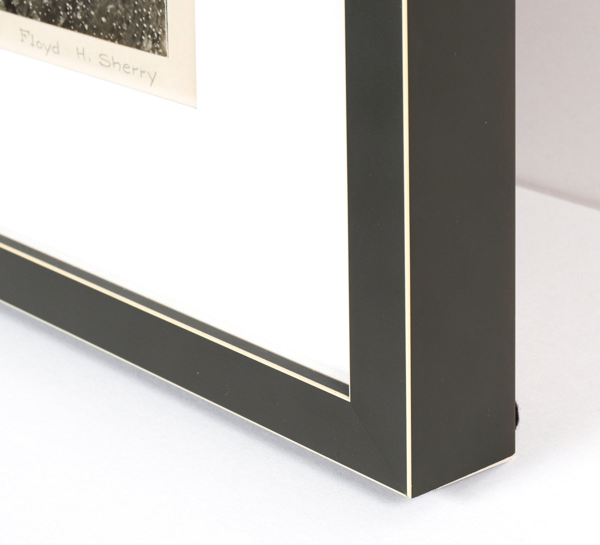 <i>Barnacles</i> <br>1958 Photograph <br><br>#C2160