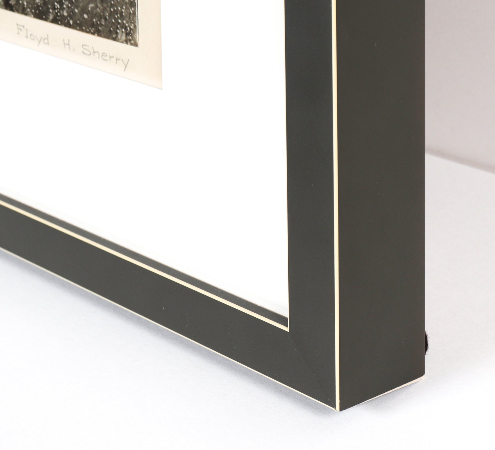 <i>Barnacles</i> <br>1958 Photograph <br><br>#C2160