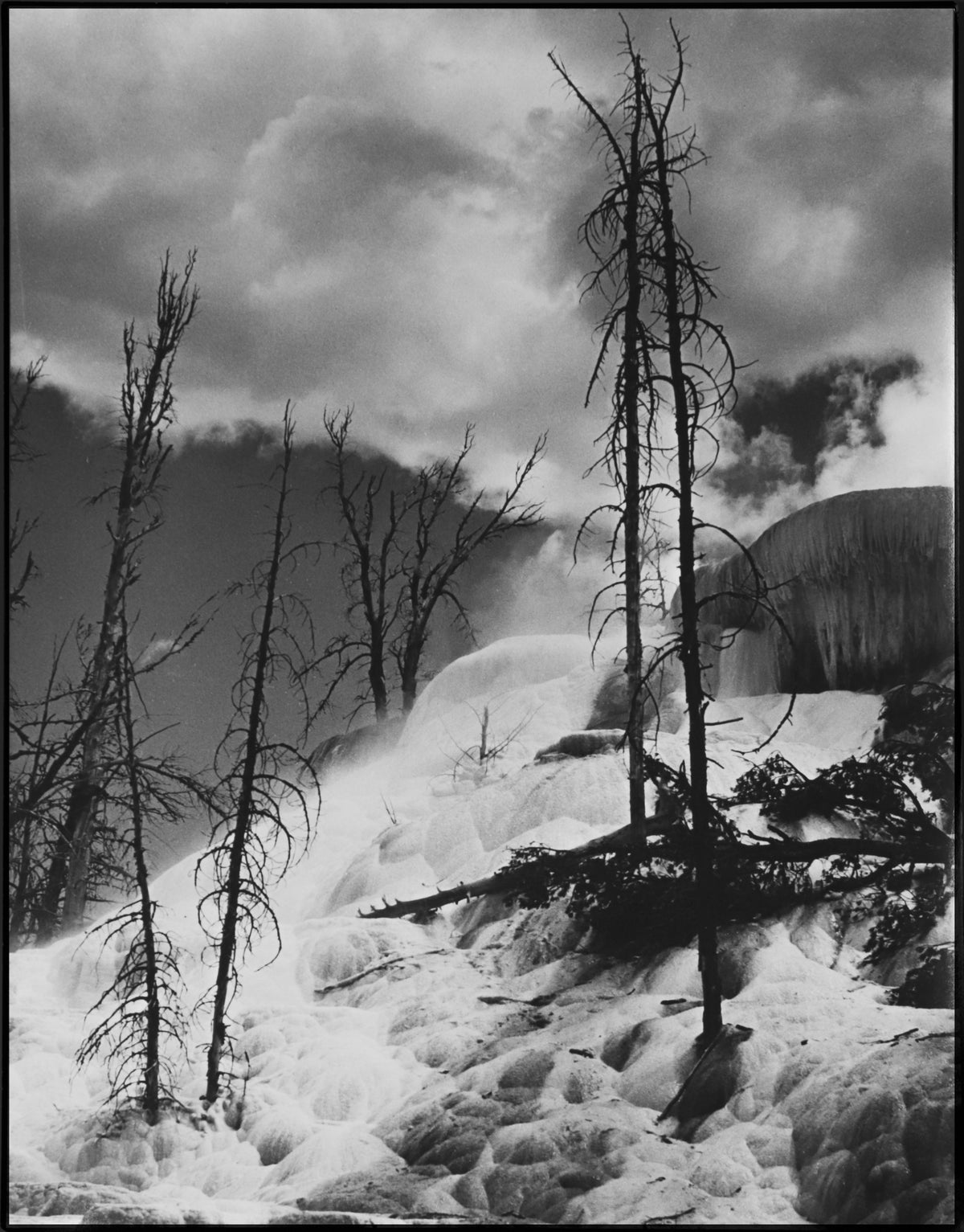 Dramatic Landscape with Tree &lt;br&gt;Mid Century Photograph &lt;br&gt;&lt;br&gt;#C2186