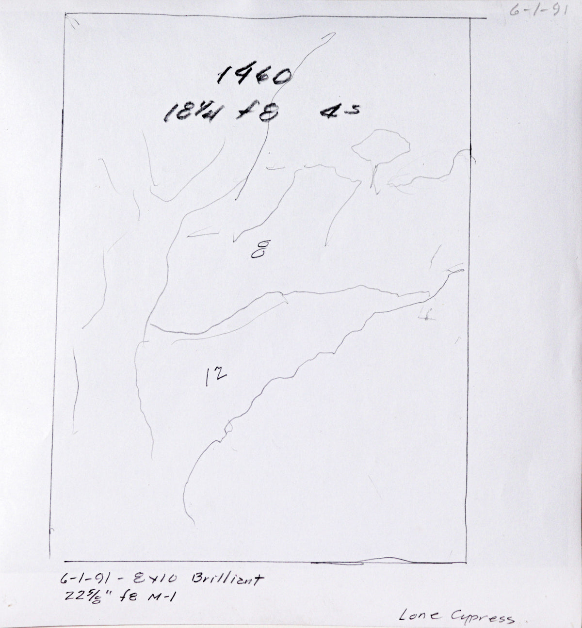 <i>Lone Cypress</i> <br>20th C. Photograph <br><br>#C2191