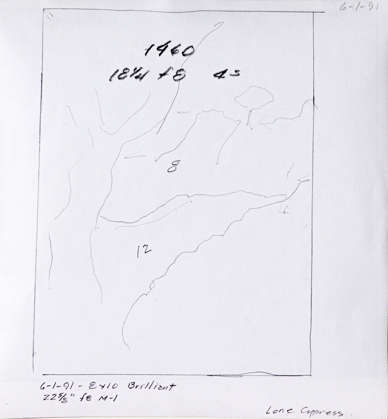 <i>Lone Cypress</i> <br>20th C. Photograph <br><br>#C2191