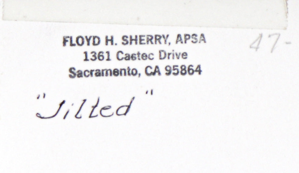 <i>Jilted</i> <br>20th C. Photograph <br><br>#C2194