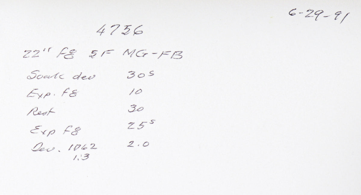 Beguiling Mansion <br>Mid Century Photograph <br><br>#C2203