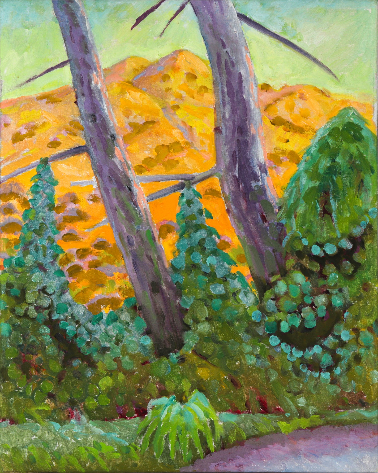 Vivid Forest Scene<br>20th Century Oil<br><br>#C2229