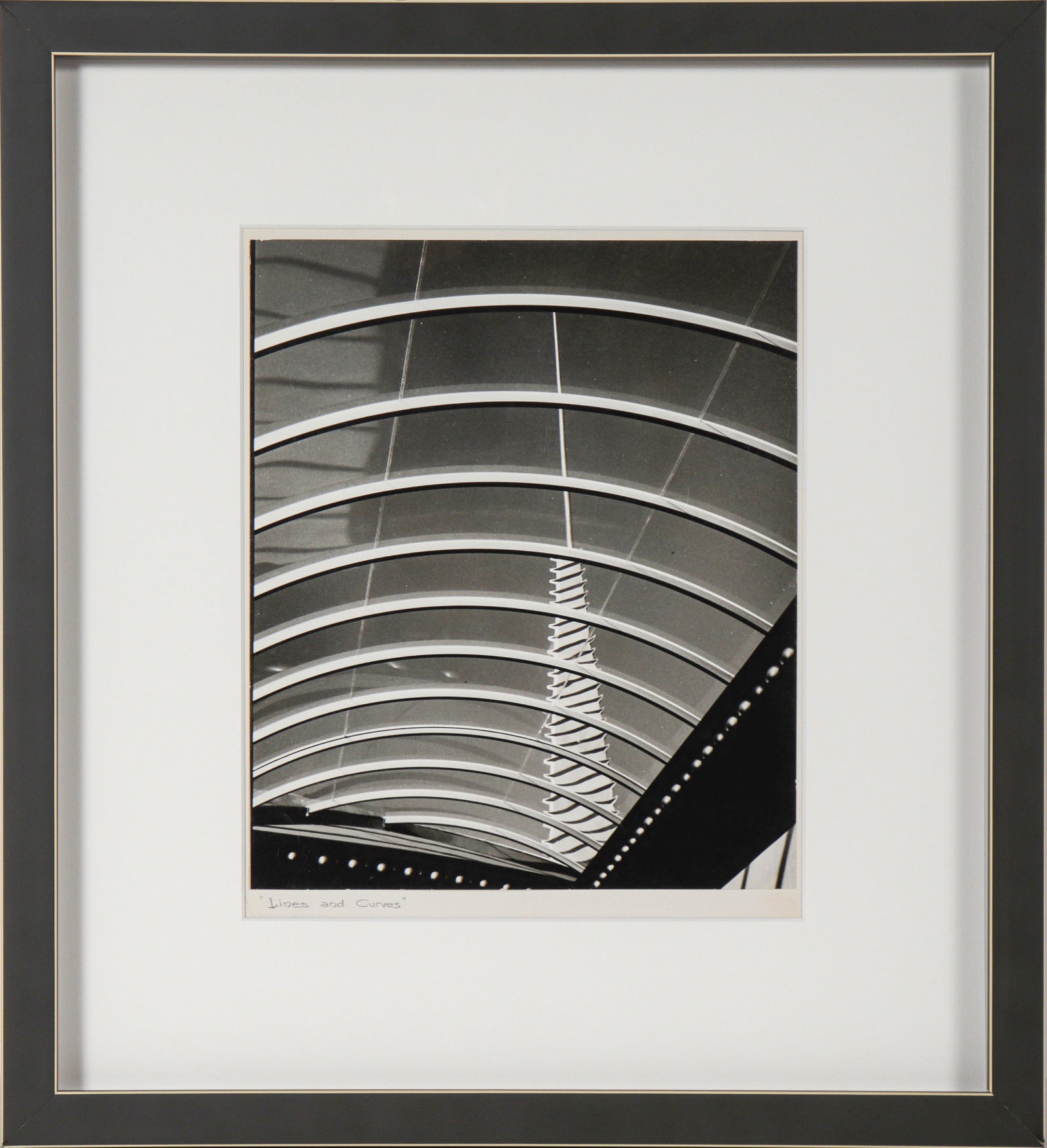 <i>Lines & Curves</i> <br>1965 Photograph <br><br>#C2233