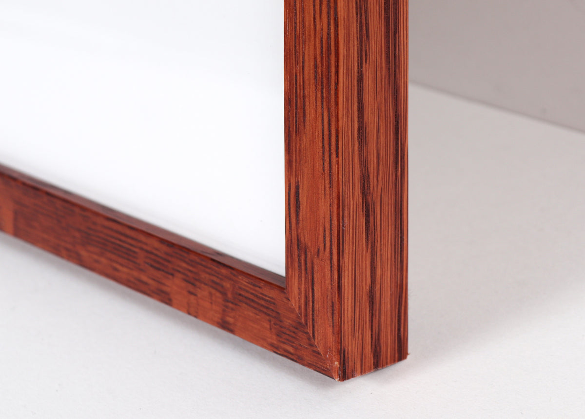 Pelican in the Sun <br>Mid Century Photograph <br><br>#C2235