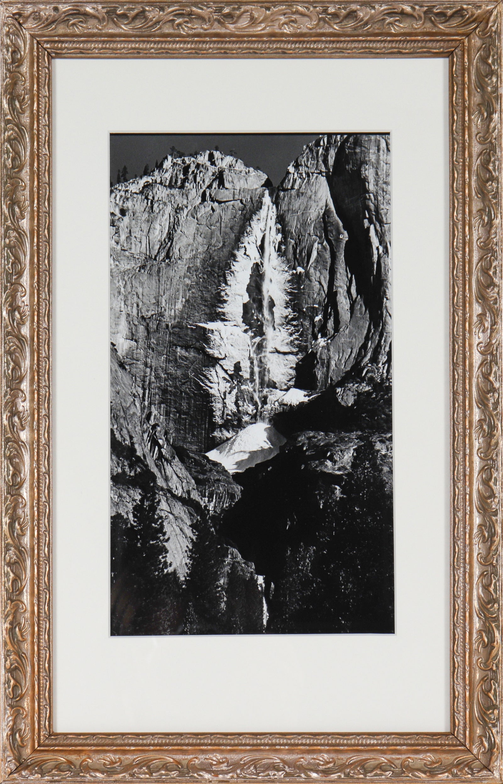 <i>Frost Beard</i> <br>1960s Photograph <br><br>#C2298