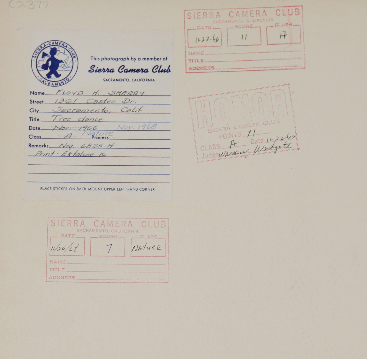 <i>Nature</I> <br>1968 Photograph <br><br>#C2377