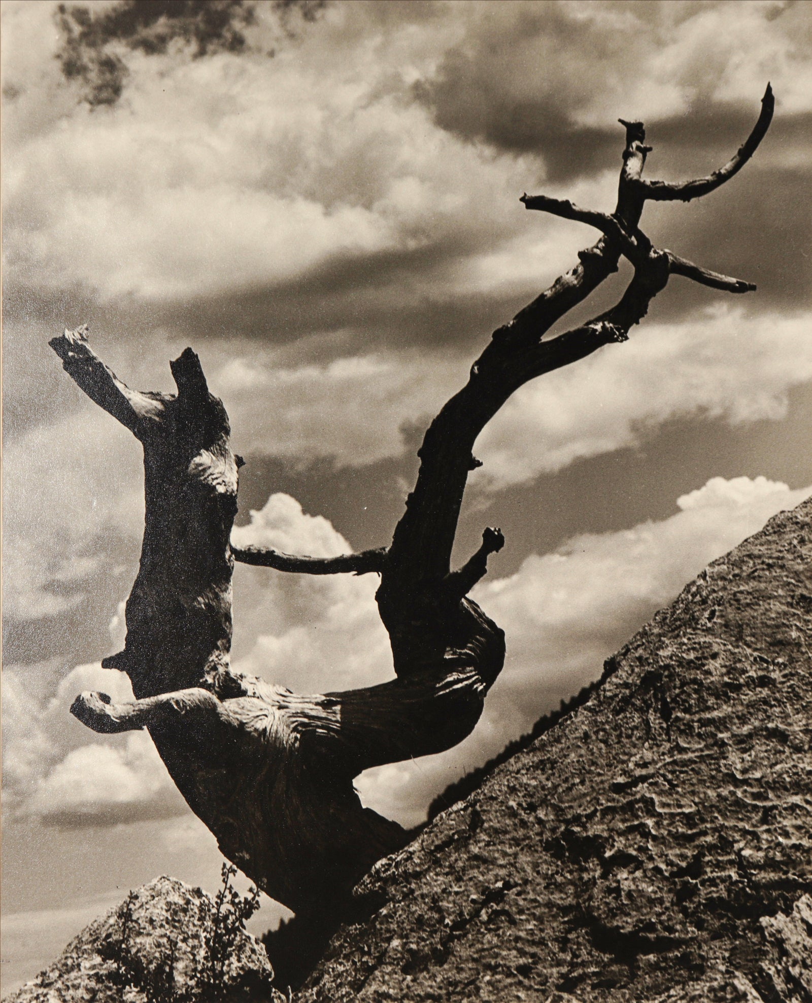 <i>The Struggle</i> <br>1971 Photograph <br><br>#C2379