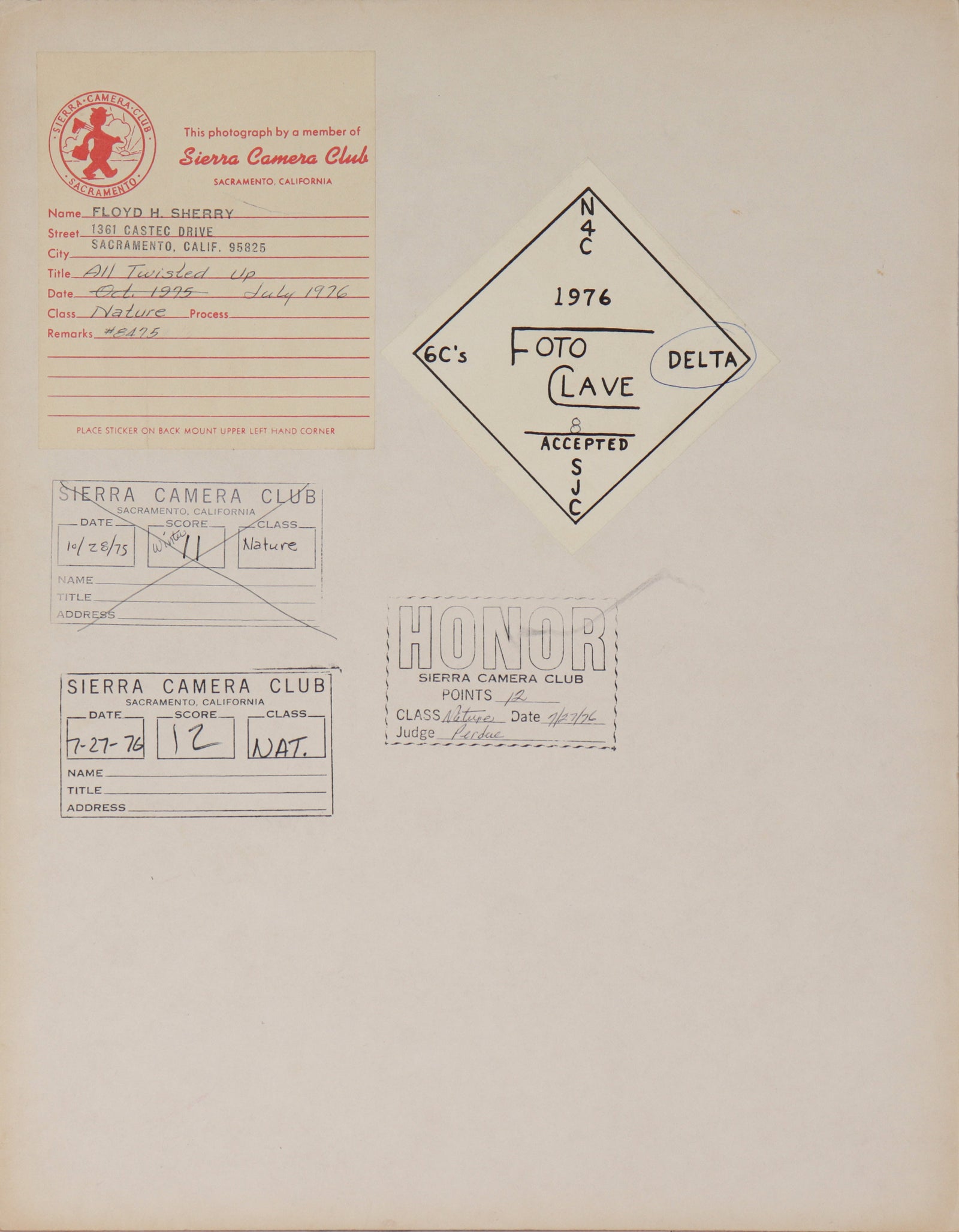 <i>All Twisted Up</i> <br>1976 Photograph <br><br>#C2385