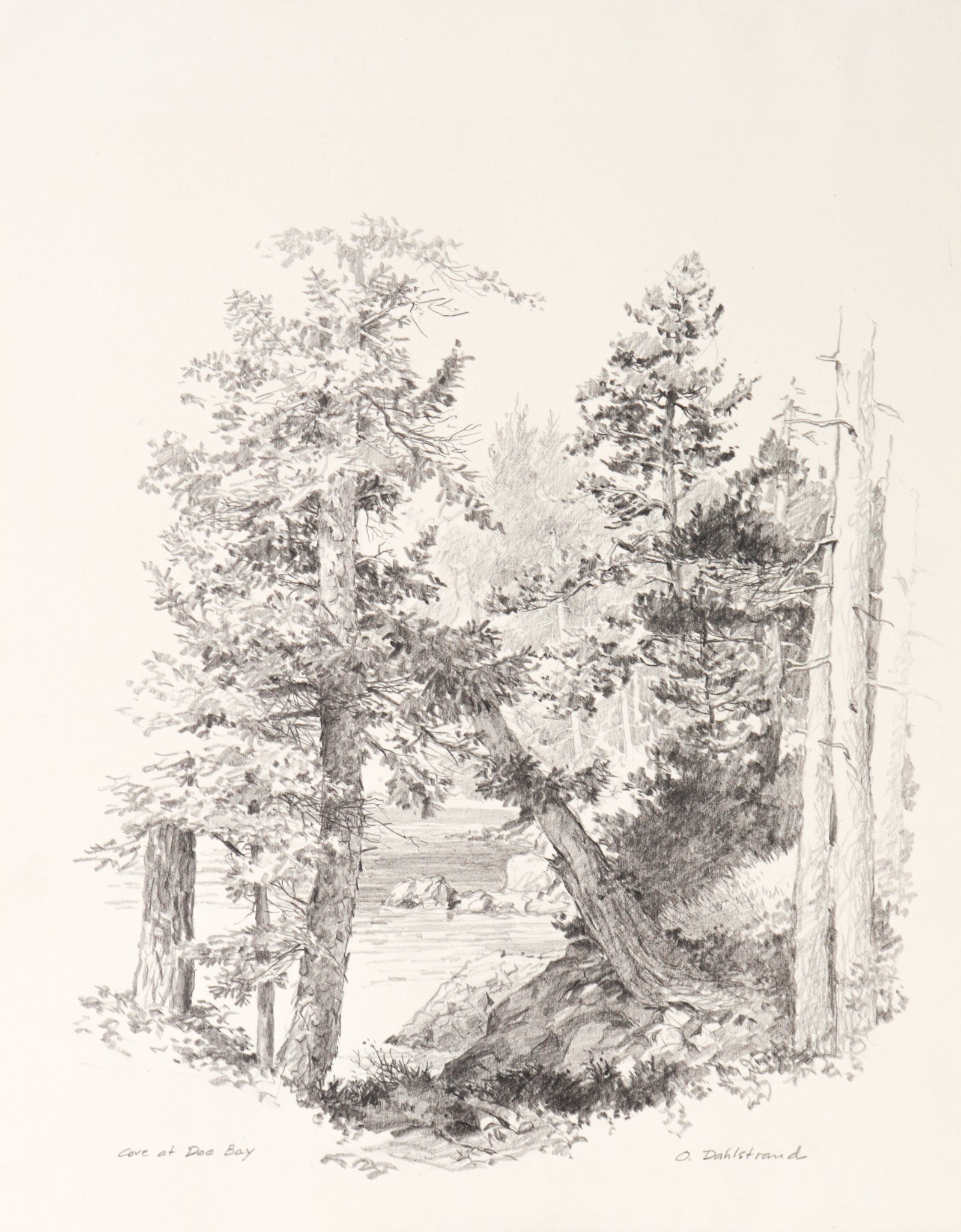 <I>Cove at Doe Bay (Orcas Island)</I> <br>1986 Graphite<br><br>#C2739