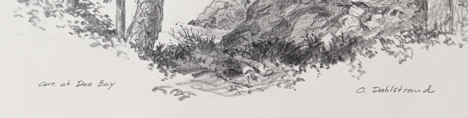 <I>Cove at Doe Bay (Orcas Island)</I> <br>1986 Graphite<br><br>#C2739